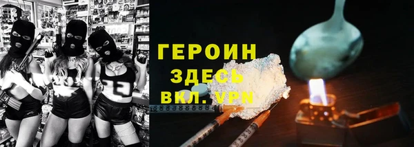 прущие грибы Горняк