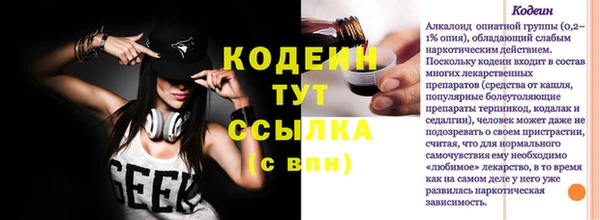 прущие грибы Горняк