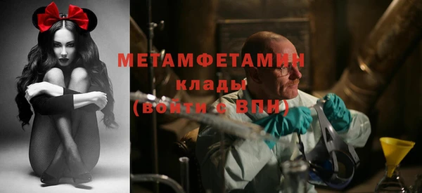прущие грибы Горняк