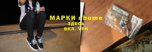 прущие грибы Горняк