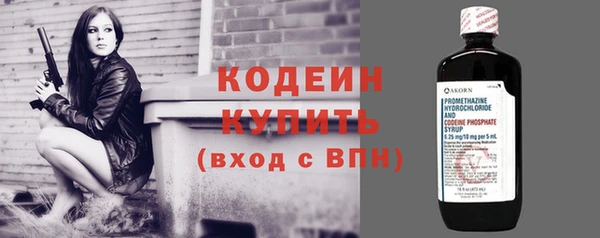 прущие грибы Горняк