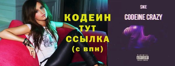 прущие грибы Горняк