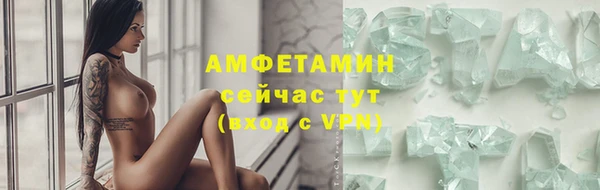 прущие грибы Горняк