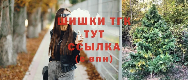 прущие грибы Горняк