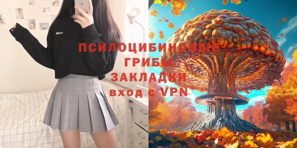 прущие грибы Горняк