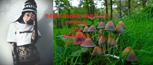 бутират Горно-Алтайск