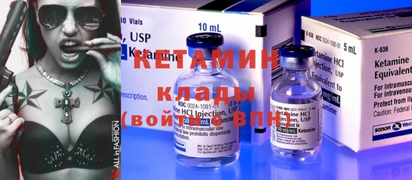 прущие грибы Горняк