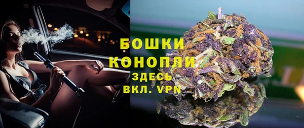 прущие грибы Горняк