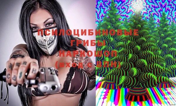 прущие грибы Горняк