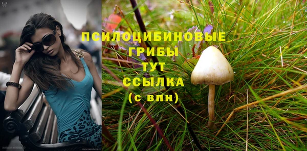 прущий лед Горнозаводск