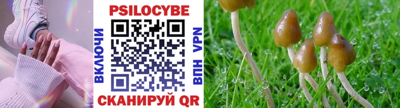 Галлюциногенные грибы Magic Shrooms  Чекалин 